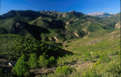 Casa Rural Tio Frasquito