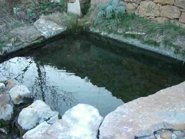 Mas De Les Forques II