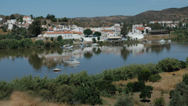 Kumara