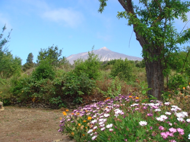 Casa El Teide