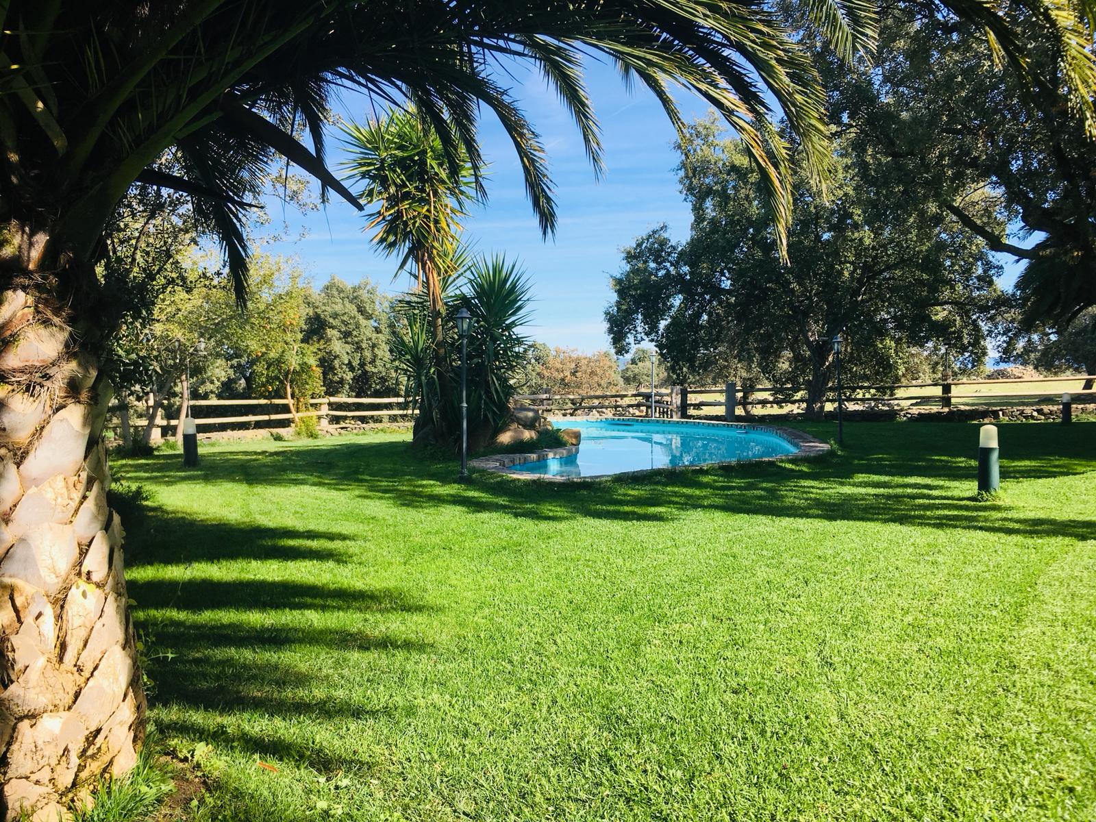 Cortijo El Palomar