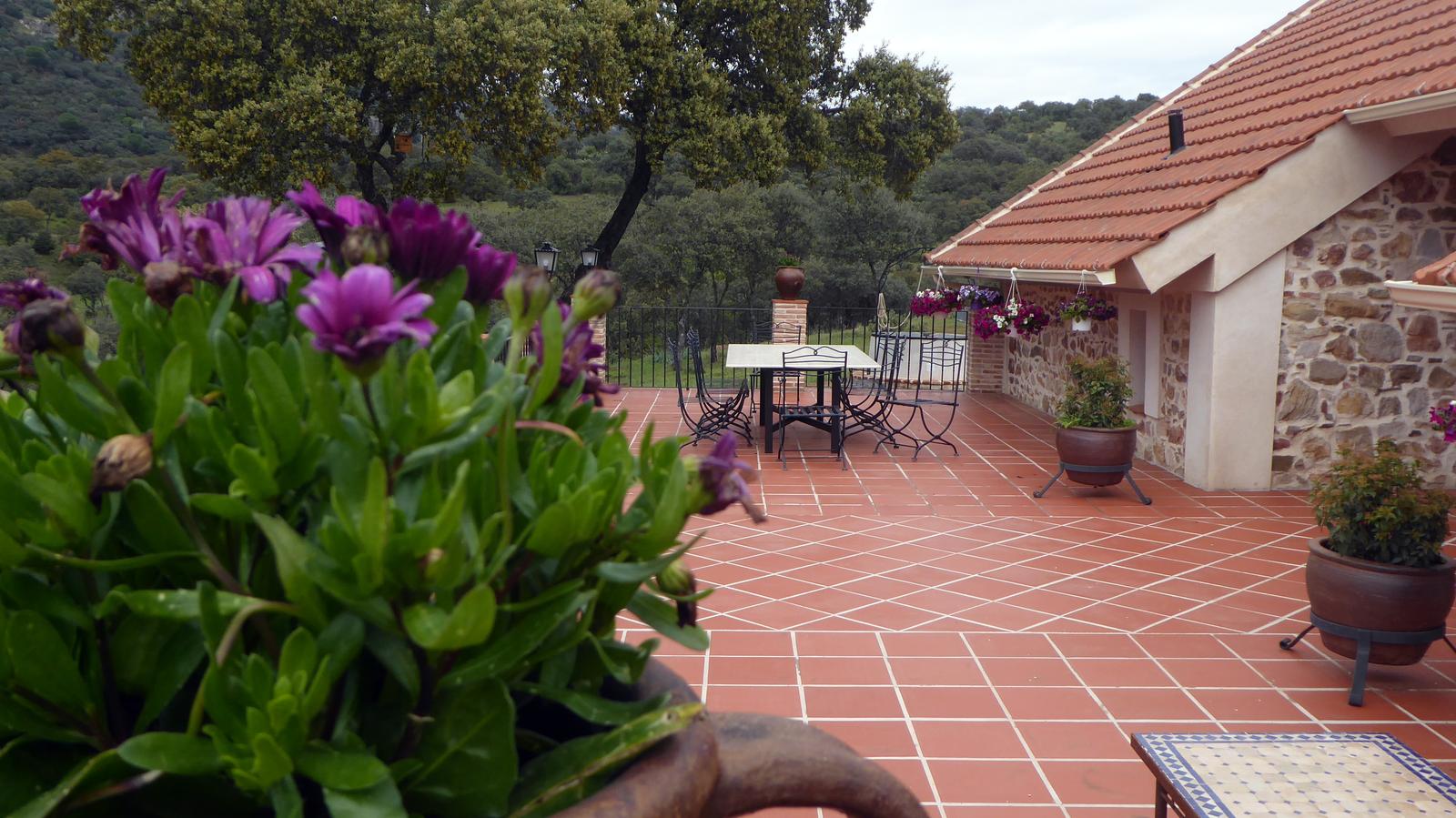 CASA RURAL NAVALACEDRA